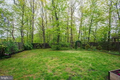 2305 Highland Ave, Falls Church, VA 22046 - photo 4