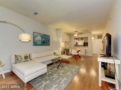 4652 Lambert Dr unit 3, Alexandria, VA 22311 - photo 4