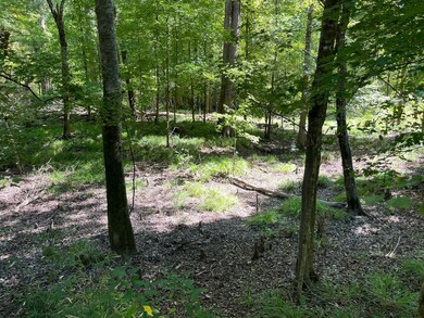 TBD Fm 1745 N, Colmesneil, TX 75938 - photo 4