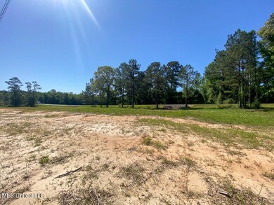 0 Hwy 26, Lucedale, MS 39452 - photo 7