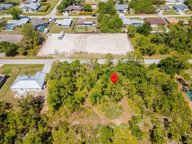 23309 Wilber Ave, Port Charlotte, FL 33980 - photo 6