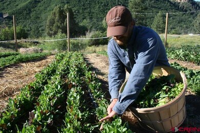 146 Tipple Ave, Durango, CO 81301 - photo 5