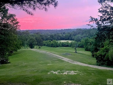 150 Twin Creeks Ln, Lockesburg, AR 71846 - photo 2