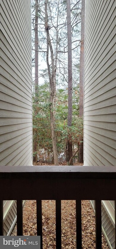 251 Driftwood Ln, Solomons, MD 20688 - photo 3