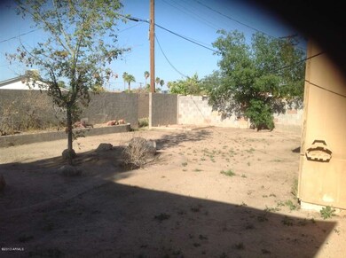 Backyard view 1