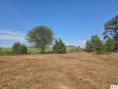 2485 Palestine Rd, Campbellsville, KY 42718 - photo 5