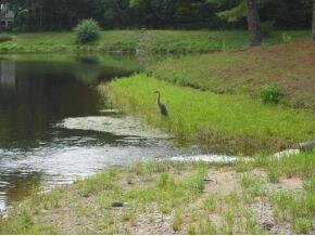 Lot 22 Lyndsay Ln, Tuftonboro, NH 03254 - photo 2