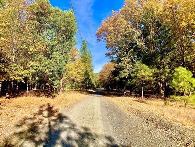 unlisted-address, Hayfork, CA 96041 - photo 5