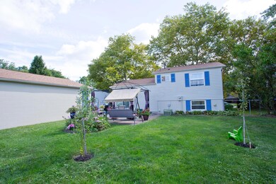 539OldTreeP(3)