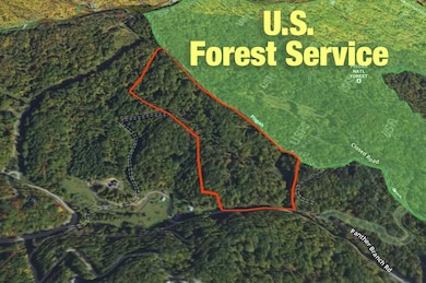 890 Panther Branch Rd, Hot Springs, NC 28743 - photo 2