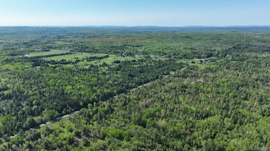 853 Calderwood Lot B Rd, Trout Creek, MI 49967 - photo 3