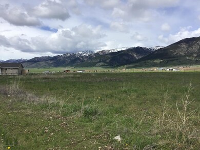 IMG_0616