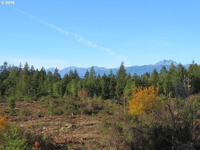 0 Wayne Rd W unit 1 18389154, Seabeck, WA 98380 - photo 6