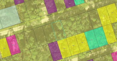 xxx Summer Brooke Ln, Crawfordville, FL 32327 - photo 2