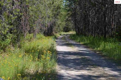 nna E Jensen Ln, Athol, ID 83801 - photo 6