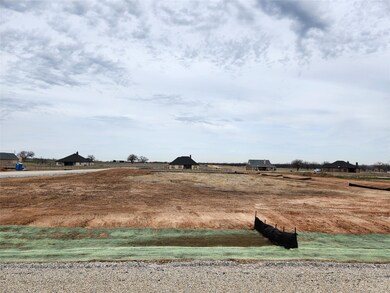 150 Lonicera Ln, Paradise, TX 76073 - photo 2