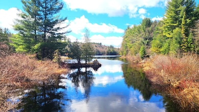 13347 Henry Rd, Natural Bridge, NY 13665 - photo 5