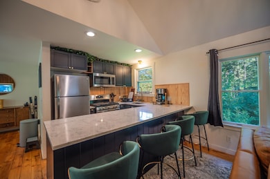 45 Dover Hill Rd, East Dover, VT 05341 - photo 5