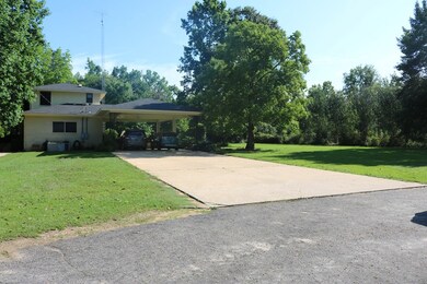 Back Yard/Driveway