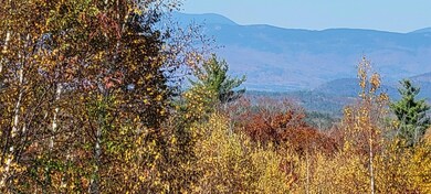 20221022_115733_resized