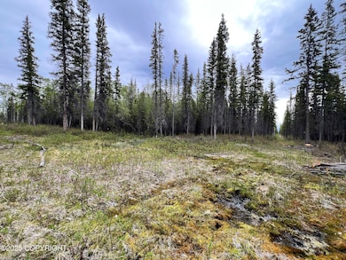 ASLS 79-251, Glennallen, AK 99588 - photo 2