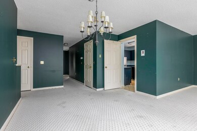 205 Vaughan St_W5_005