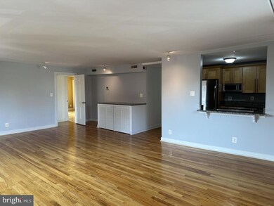 St. Paul at Chase Condominiums unit 201, Baltimore, MD 21202 - photo 5