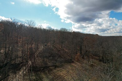 000 Hwy Pp, Collins, MO 64738 - photo 6