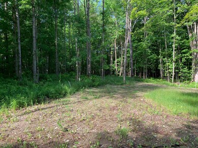 1281 Vermont 101, Troy, VT 05868 - photo 5