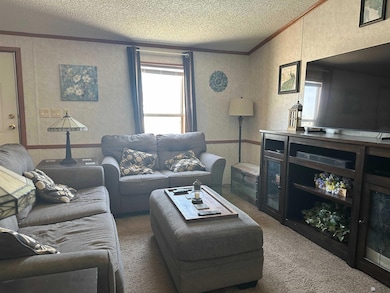 10237 Mohawk Blvd, Wellton, AZ 85356 - photo 5