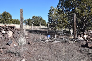 30219004b N Francis Ln, Ash Fork, AZ 86320 - photo 6