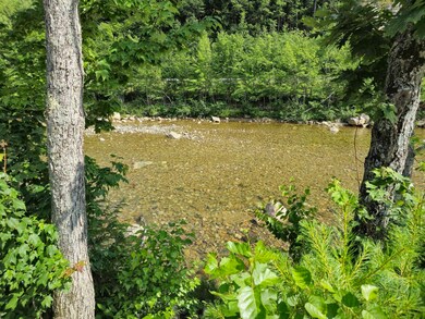 Saco River