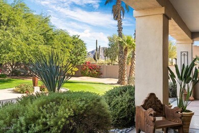 Backyard/Oasis