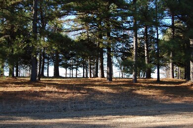 2Lot 2 W Highland Cir, Poplar Bluff, MO 63901 - photo 5