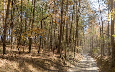 2 TR Old Anderson Creek, Ellijay, GA 30536 - photo 4