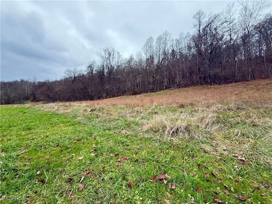 0 S Pleasants Hwy, Saint Marys, WV 26170 - photo 2