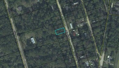 0 Dakota Dr unit 3 316989, Crawfordville, FL 32327 - photo 2