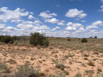 IMG_9813 (1)