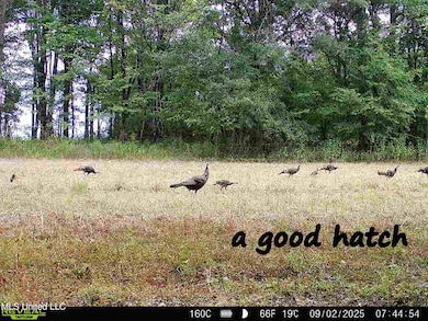 0 Curtis Rd unit 4105556, Batesville, MS 38606 - photo 6