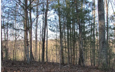 976 NE Raccoon Ridge Rd, Ranger, GA 30734 - photo 2