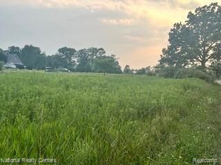 00 Stow Rd, Conway Township, MI 48892 - photo 7