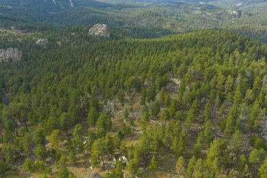 TBD Trackers Trail, Keystone, SD 57751 - photo 7