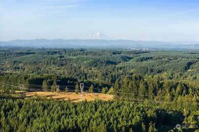 120 Brim Ridge Ln, Winlock, WA 98596 - photo 3