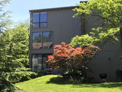 Windows At Rear of Condo