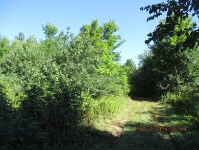 0 Smith Rd, Russell, NY 13652 - photo 2