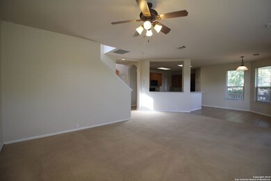 10302 Canyon River, Helotes, TX 78023 - photo 6