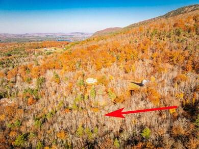 Lot 22&23 Tamarack Trail, Camden, ME 04843 - photo 3