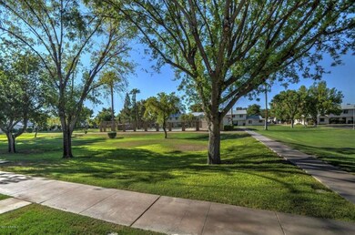 green belt-1