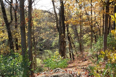 2637 Milverton Way, Columbus, OH 43224 - photo 4