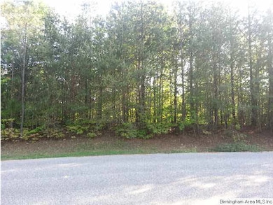 Front of lot